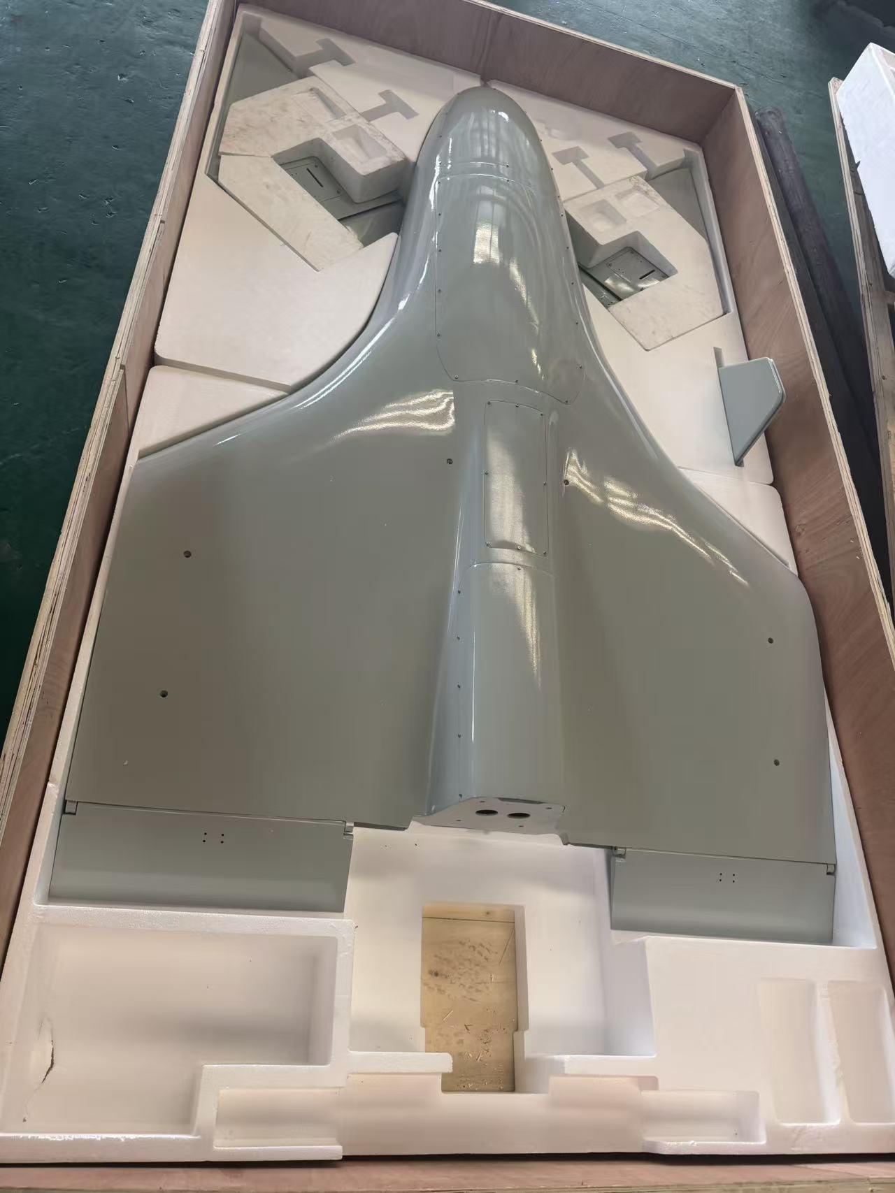 Long Endurance And Large Payload 50kg UAV Aerostrike Loitering Munition Drone