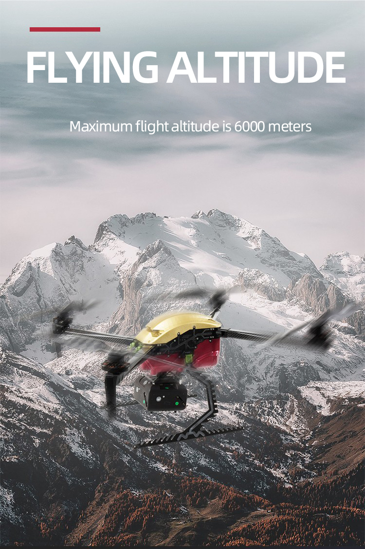 202106111659254246 拷贝